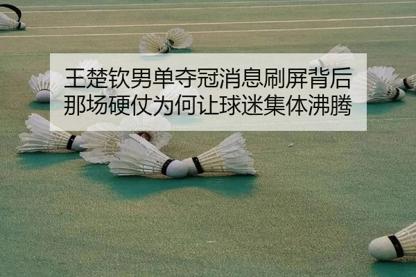王楚钦男单夺冠消息刷屏背后 那场硬仗为何让球迷集体沸腾